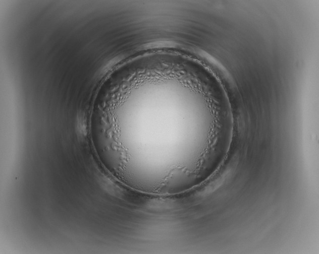 X0000113200929200909101109