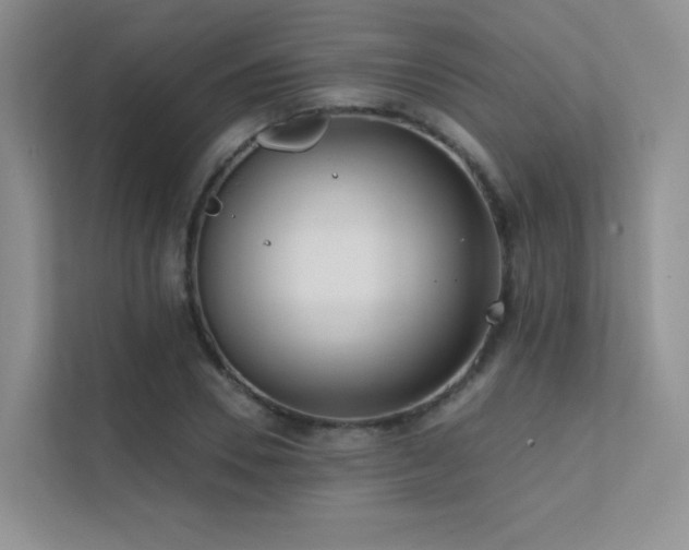 X0000113200930200909101109