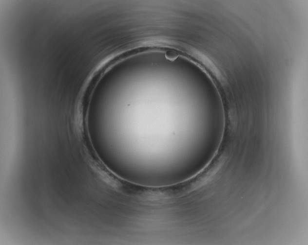 X0000113200931200909101109