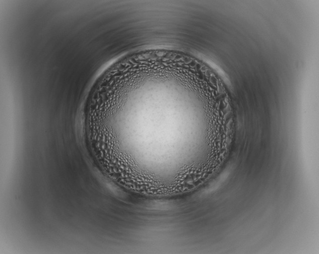 X0000113200933200909101109