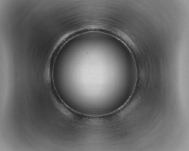 X0000113200934200909101109