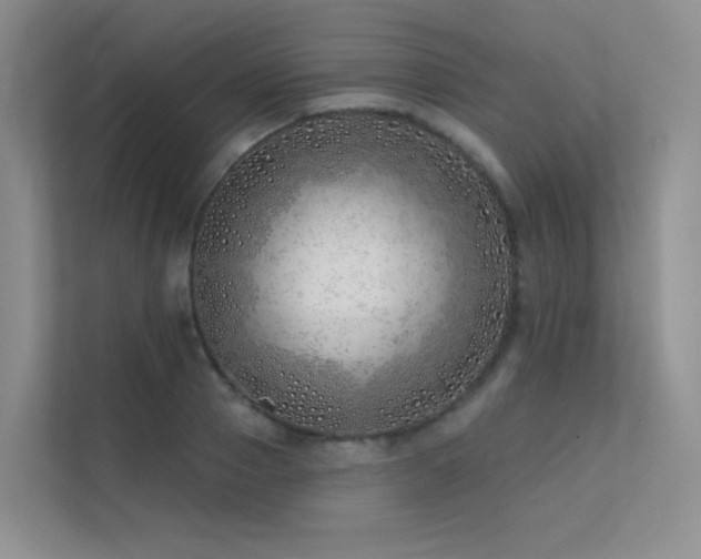 X0000113200937200909101109