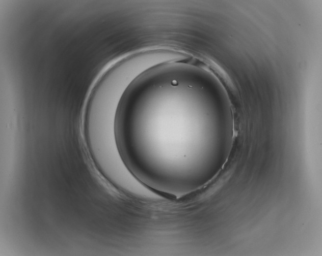 X0000113200940200909101109