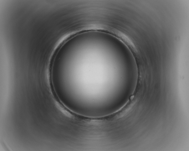 X0000113200942200909101109