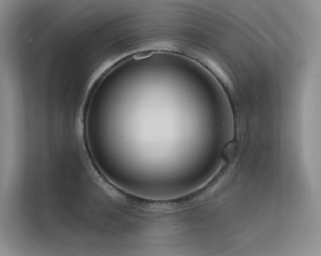 X0000113200944200909101109