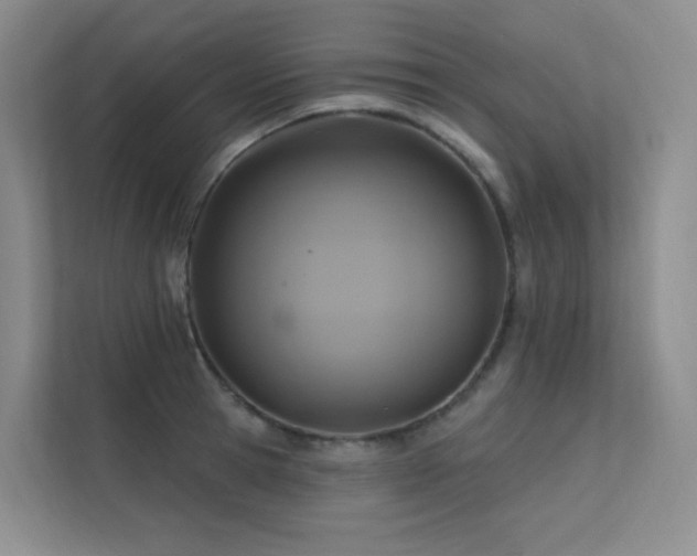 X0000113200945200909101109