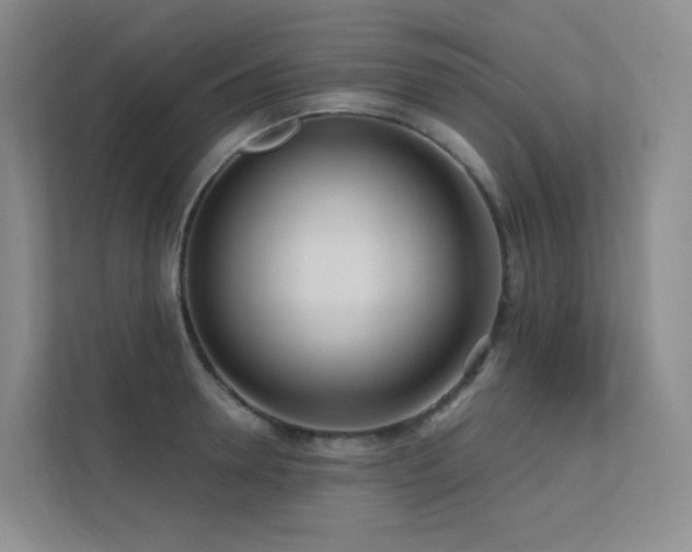 X0000113200946200909101109