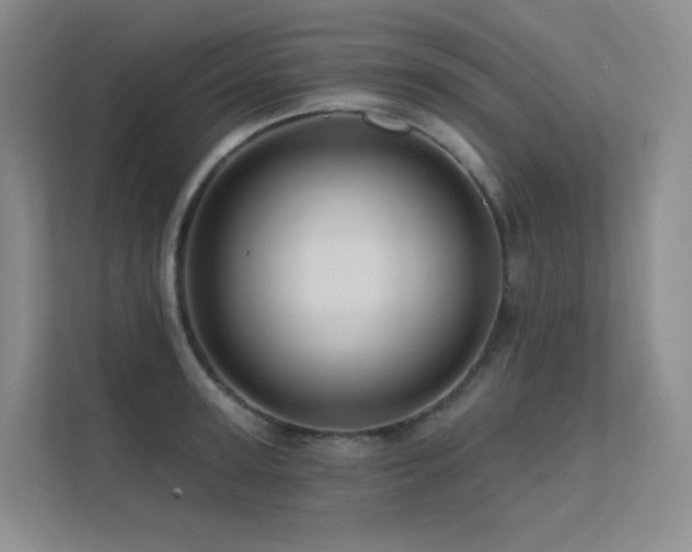 X0000113200947200909101109