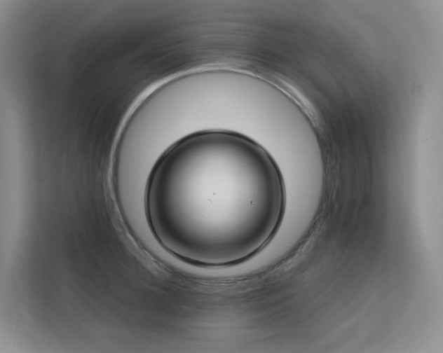 X0000113200948200909101109