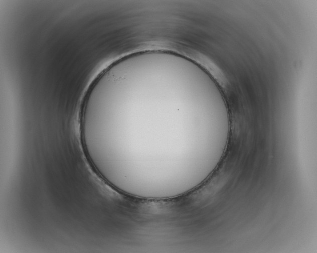 X0000113200950200909101109