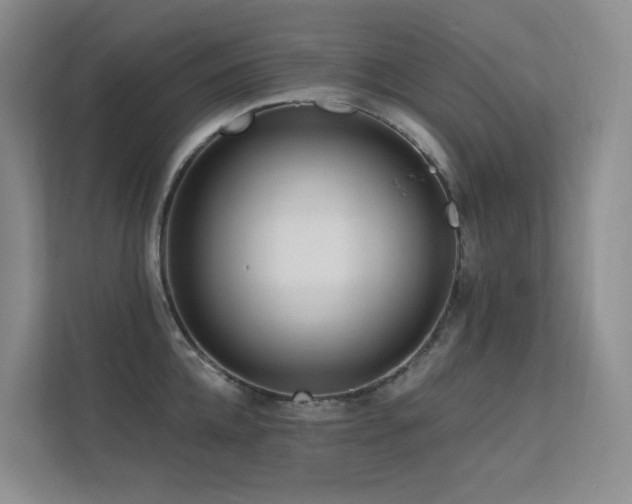 X0000113200952200909101109