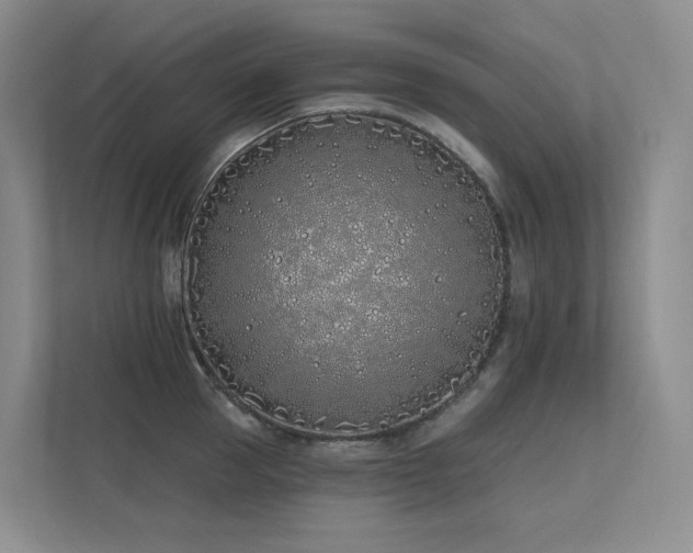 X0000113200953200909101109