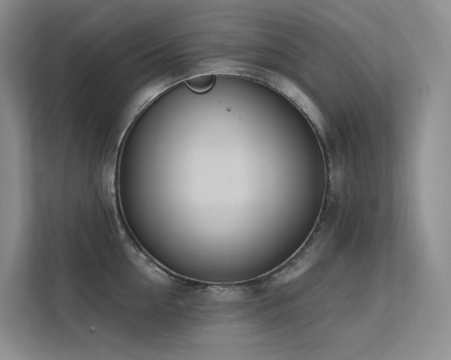 X0000113200954200909101109