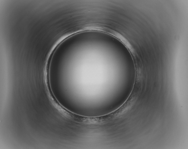 X0000113200955200909101109