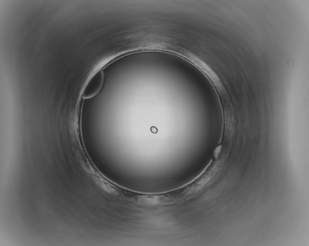 X0000113200956200909101109