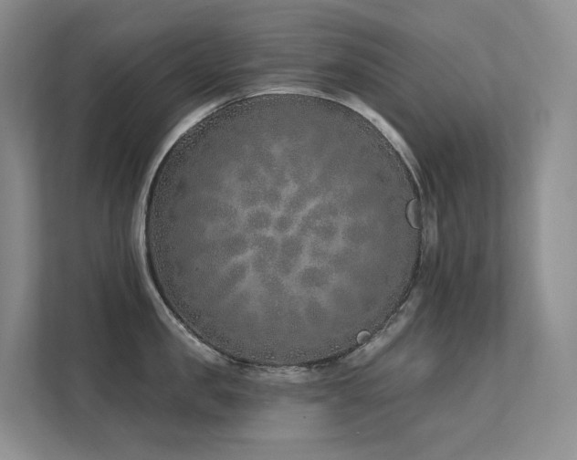 X0000113200957200909101109