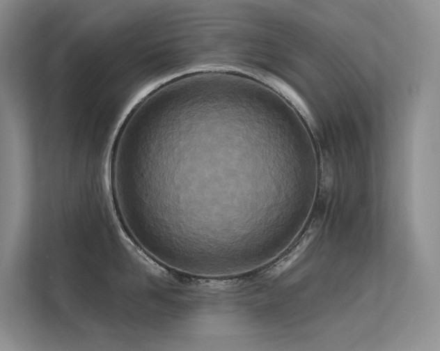 X0000113200958200909101109