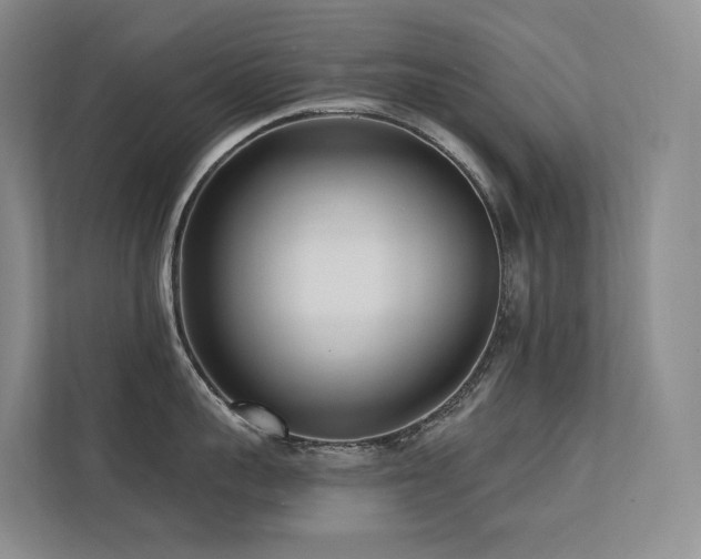 X0000113200959200909101109