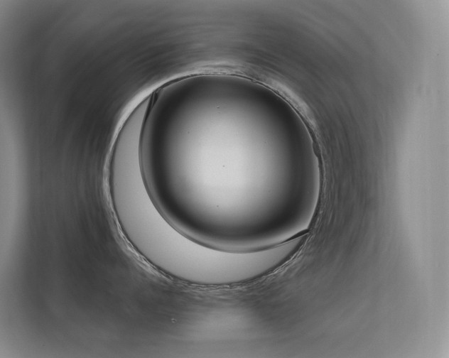 X0000113200960200909101109