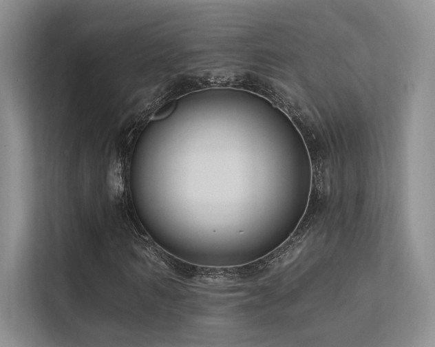 X0000113200962200909101109