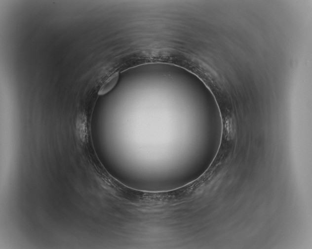 X0000113200963200909101109