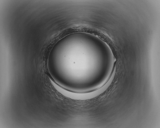 X0000113200965200909101109