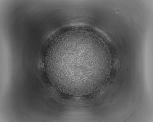 X0000113200966200909101109