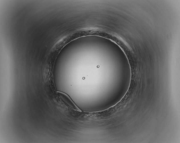 X0000113200967200909101108