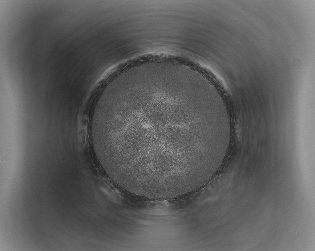 X0000113200968200909101108