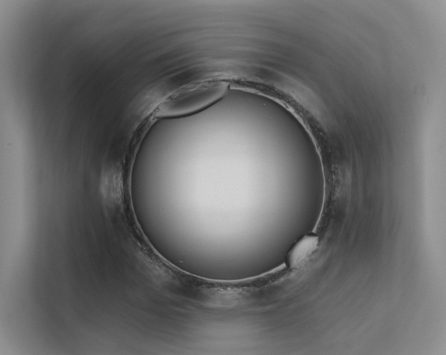 X0000113200969200909101108