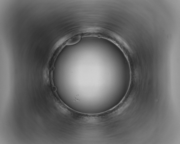 X0000113200970200909101108