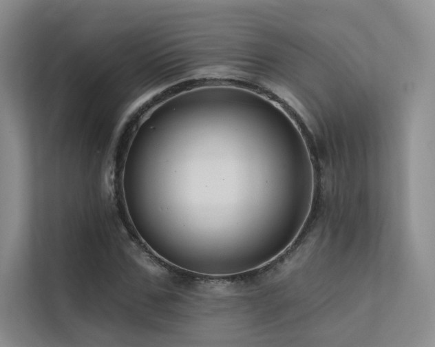 X0000113200971200909101108