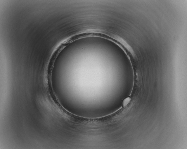 X0000113200972200909101108