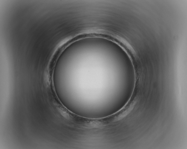 X0000113200974200909101108