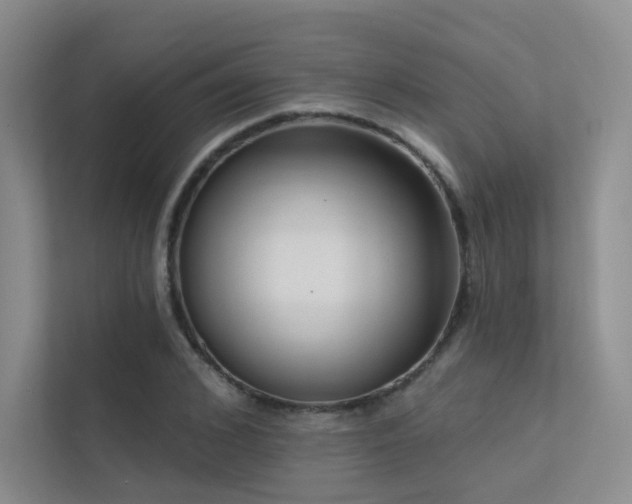 X0000113200976200909101108