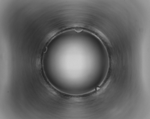 X0000113200977200909101108