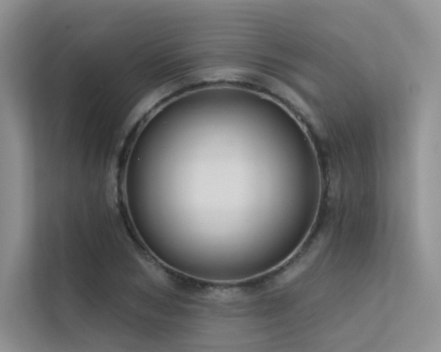 X0000113200978200909101108