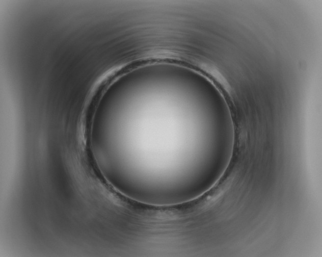 X0000113200979200909101108