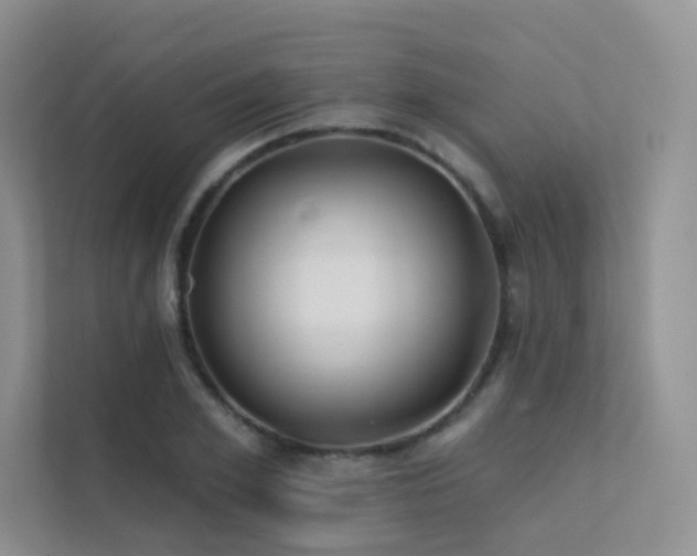 X0000113200981200909101108