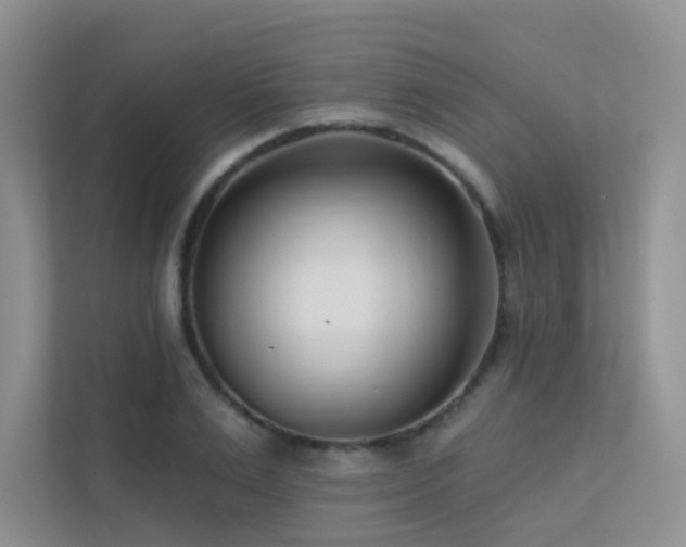 X0000113200983200909101108