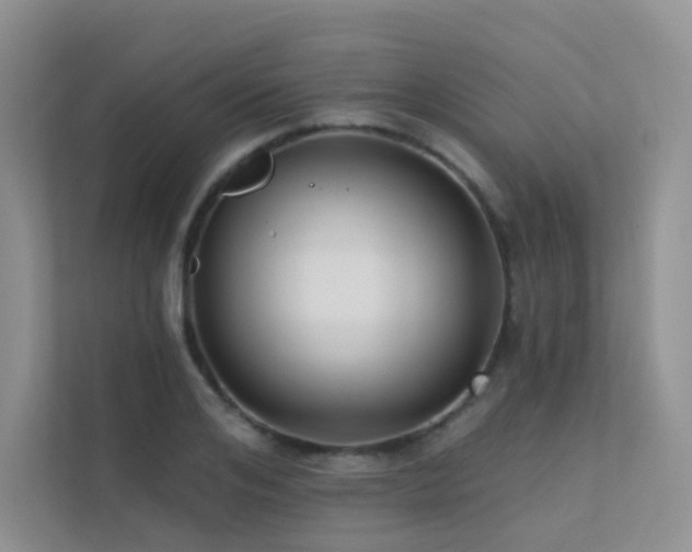 X0000113200984200909101108