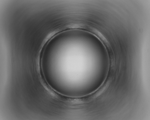 X0000113200986200909101108