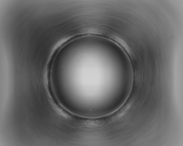 X0000113200987200909101108