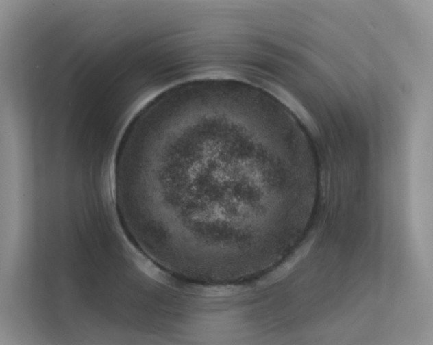 X0000113200988200909101108