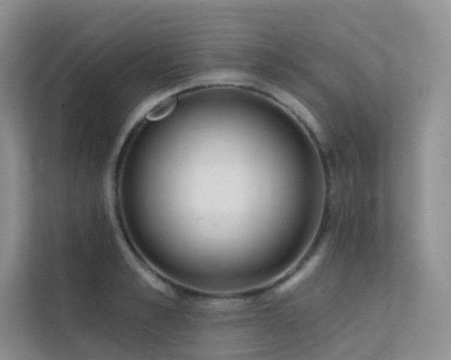 X0000113200989200909101108