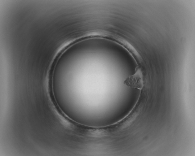 X0000113200991200909101108