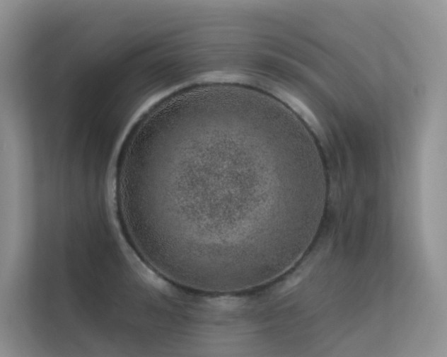 X0000113200992200909101108