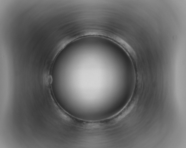 X0000113200993200909101108