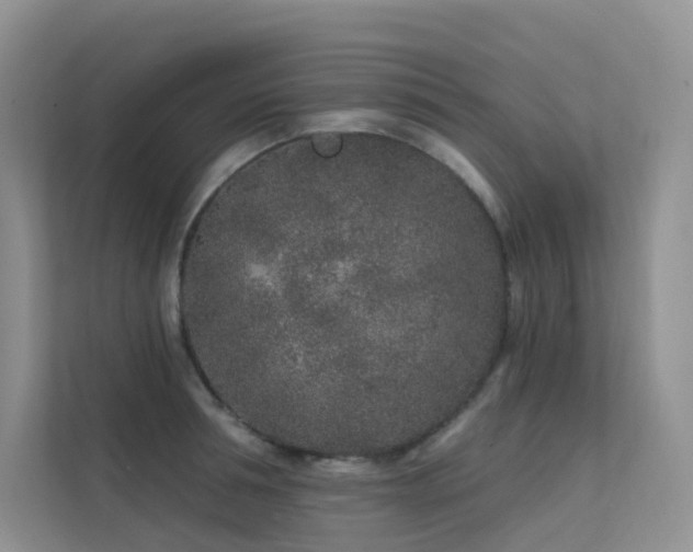 X0000113200994200909101108