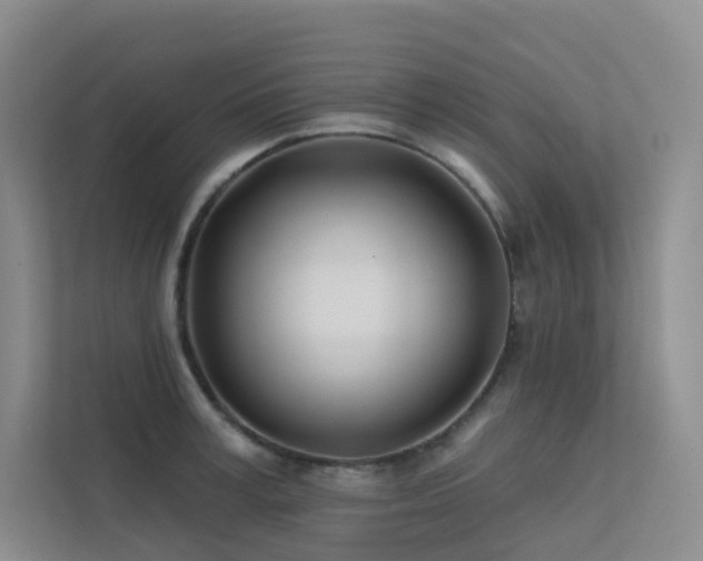 X0000113200995200909101108